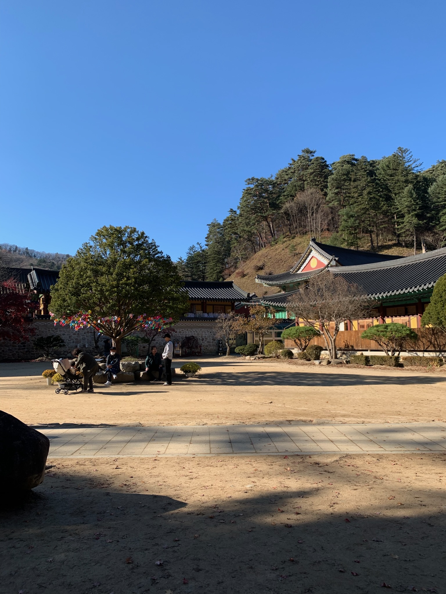 Temple Visit