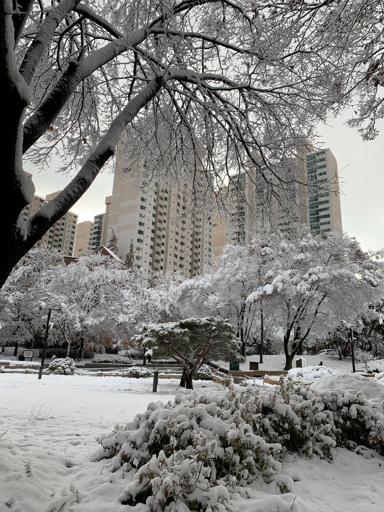 Snow