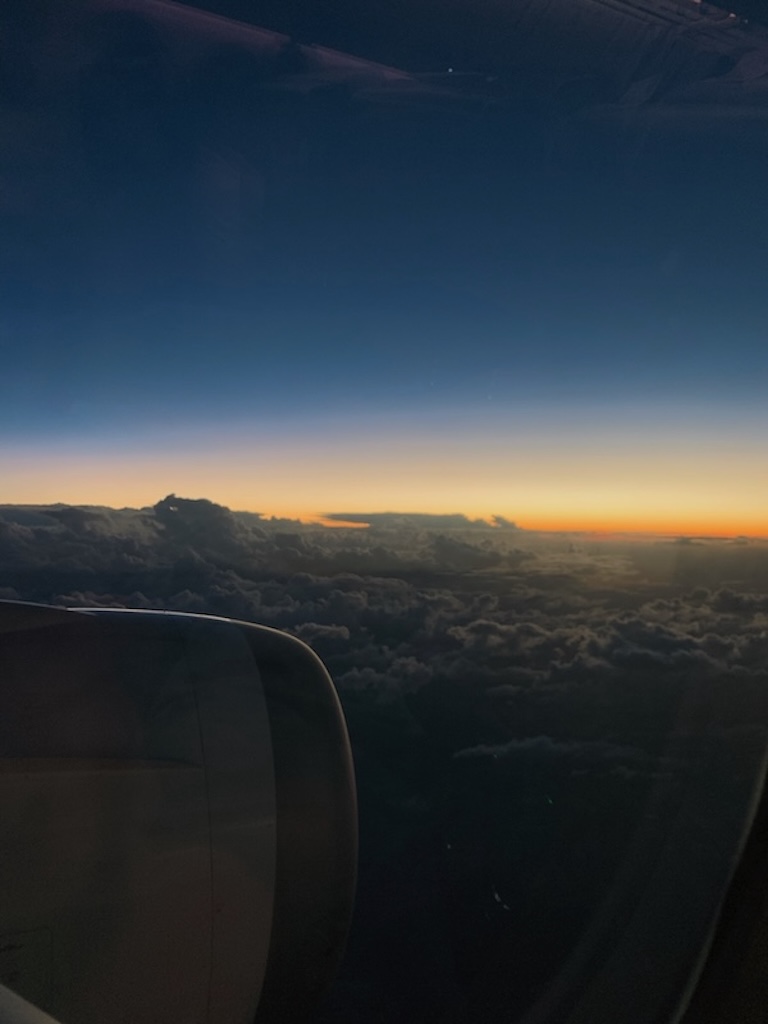 Flight Home